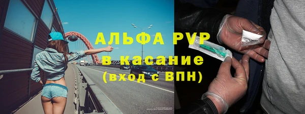 амф Верхний Тагил