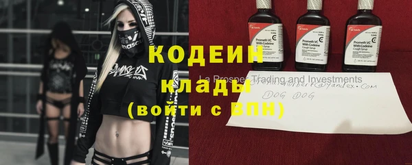 амф Верхний Тагил