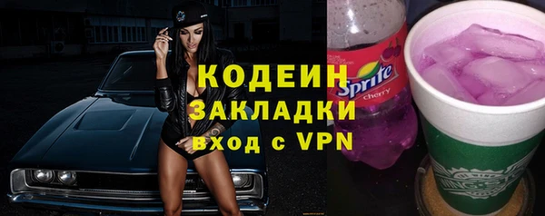 амф Верхний Тагил
