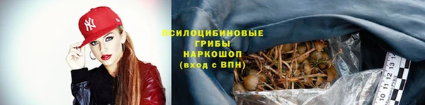 амф Верхний Тагил