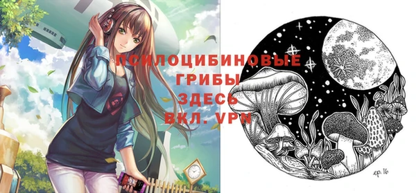 дживик Верея
