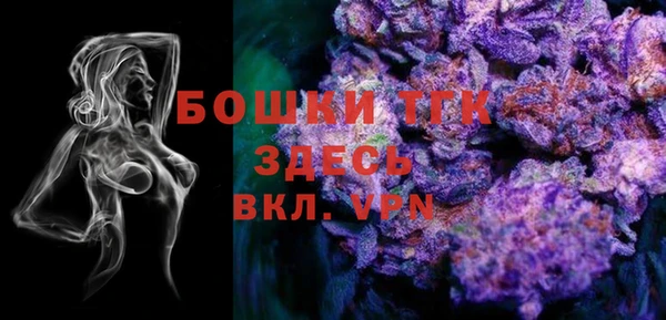 амф Верхний Тагил