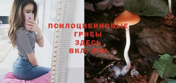 герыч Бронницы