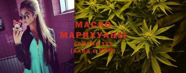 амф Верхний Тагил